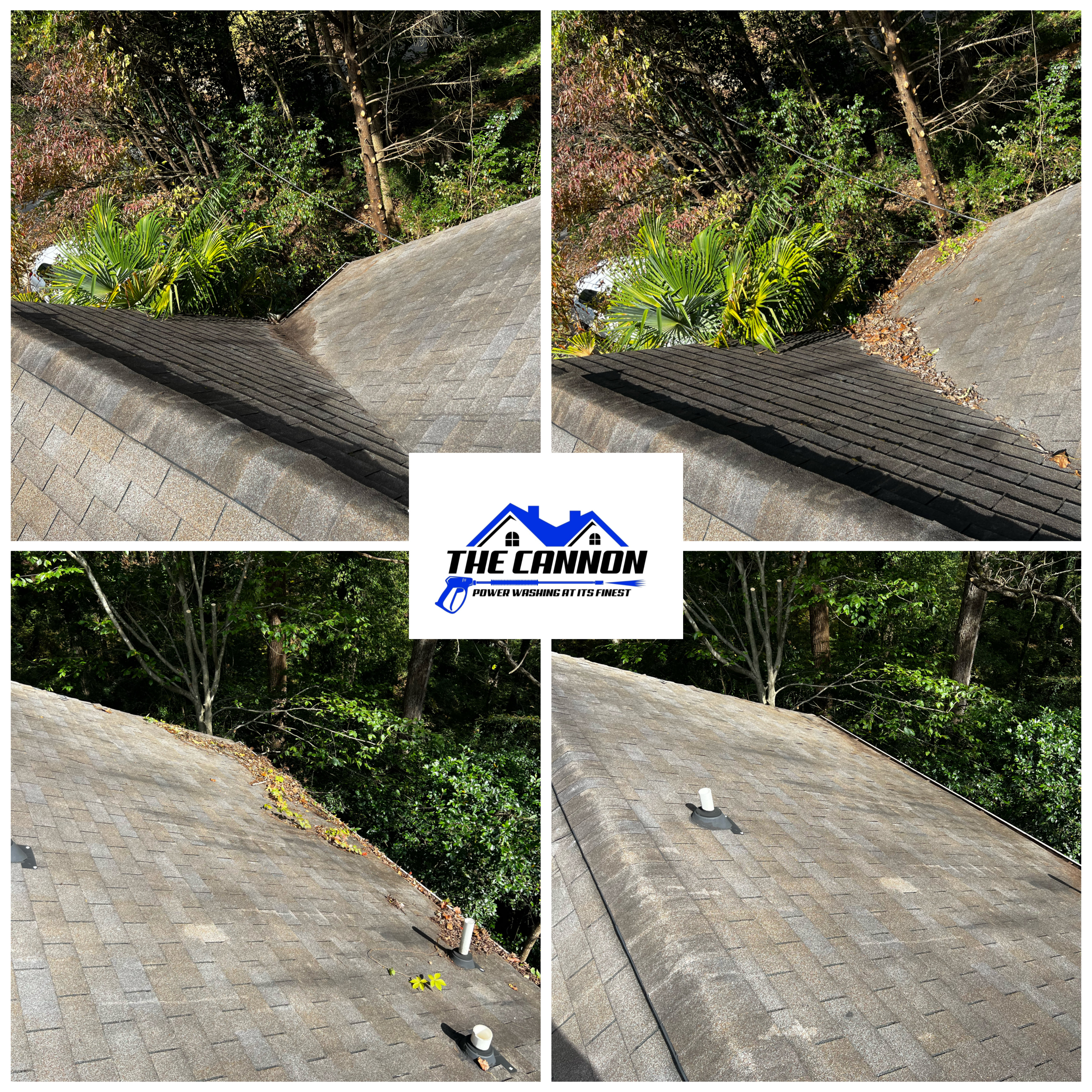 Gutter cleaning and roof blowoff in Athens, GA