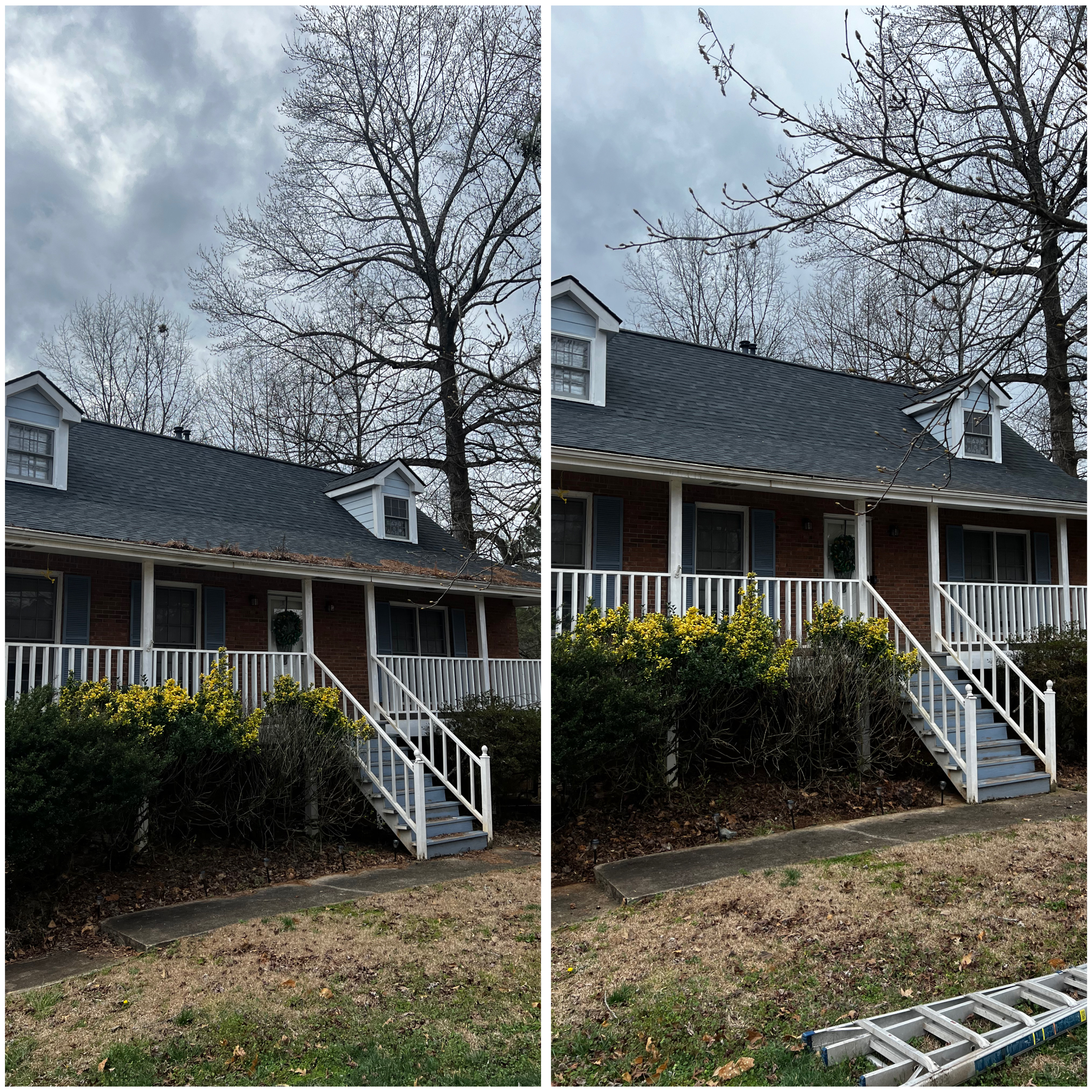 Long overdue Gutter Cleaning in Lawrenceville, GA