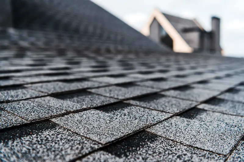 3 Benefits Of Professional Roof Cleaning Services